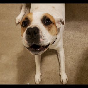 Meet your Posher, Catherine